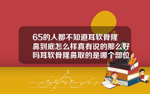 65的人都不知道耳软骨隆鼻到底怎么样真有说的那么好吗耳软骨隆鼻取的是哪个部位