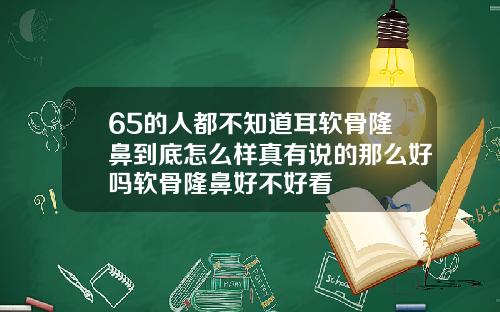 65的人都不知道耳软骨隆鼻到底怎么样真有说的那么好吗软骨隆鼻好不好看