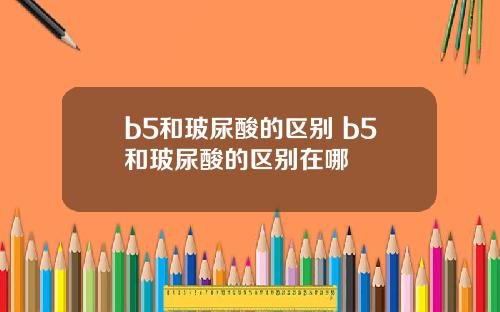 b5和玻尿酸的区别 b5和玻尿酸的区别在哪