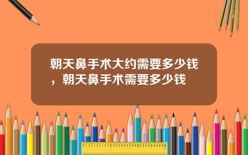 朝天鼻手术大约需要多少钱，朝天鼻手术需要多少钱